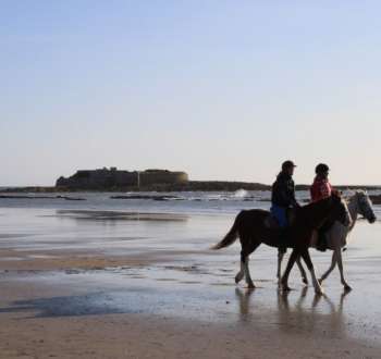Balade en cheval sur la plage