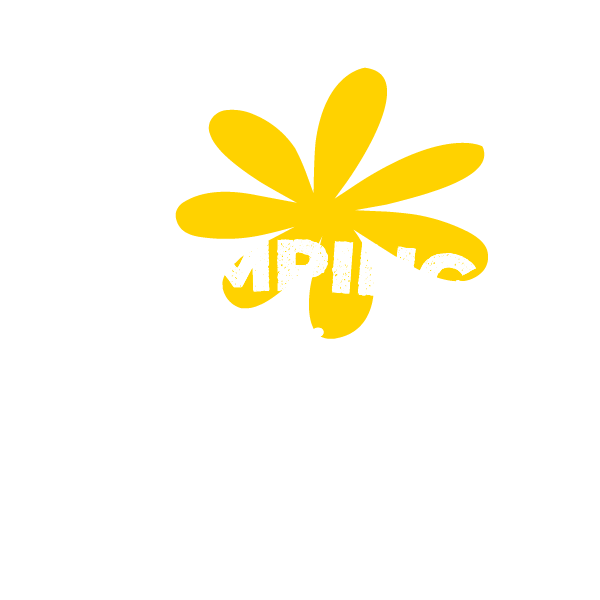 Logo Blanc La Pointe du Talud