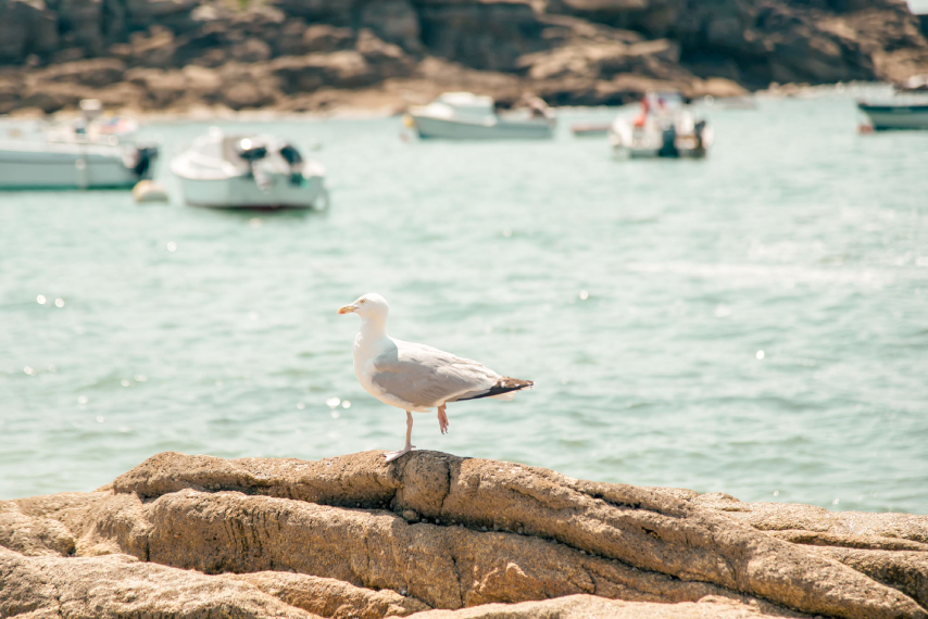 bord de mer kerroch pointe talud camping ()