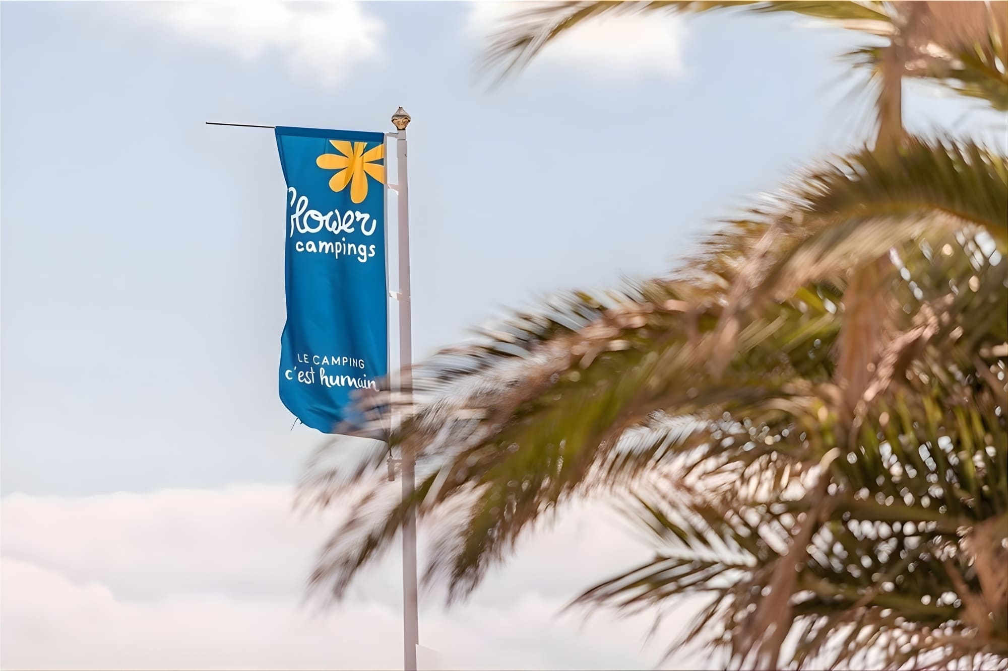 flower campings pointe du talud