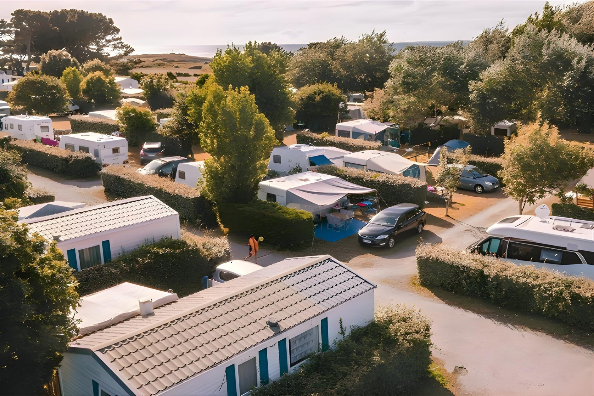 flower pointe du talud panneau