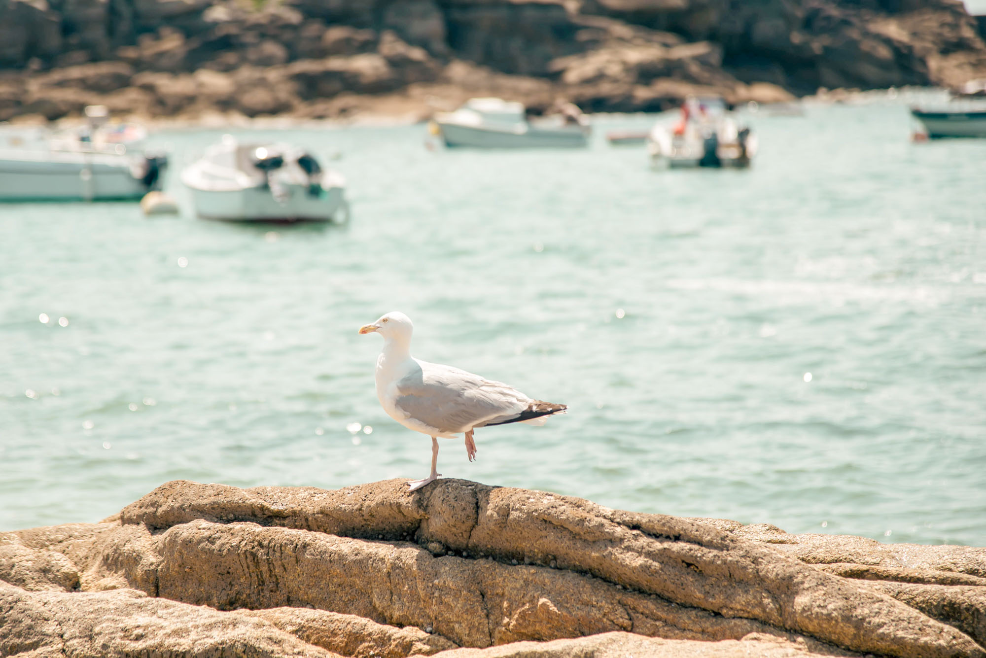 kerroch port fontaine lomener plages bretagne se baigner