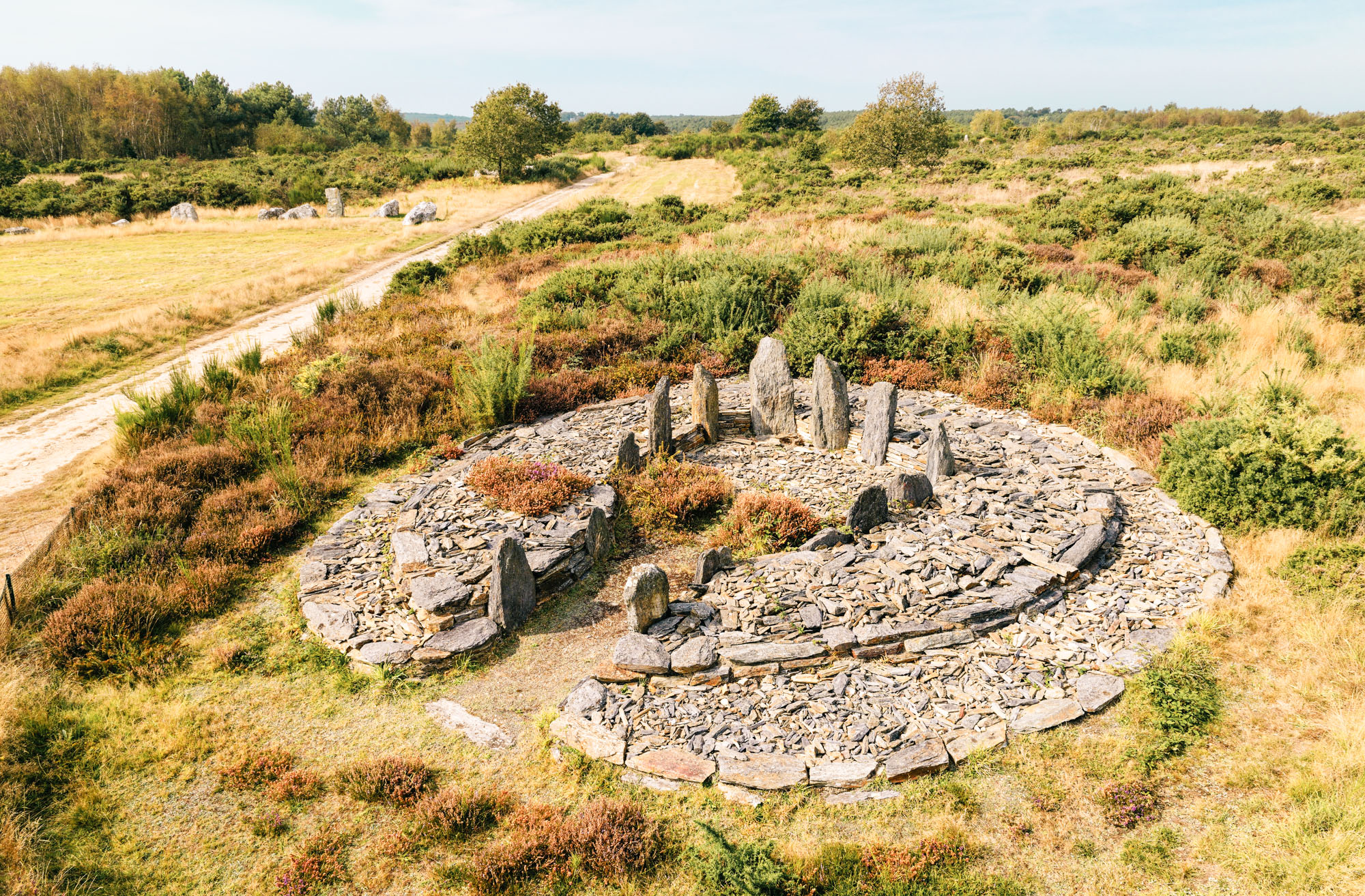 megalithe landes cojoux préhistoire