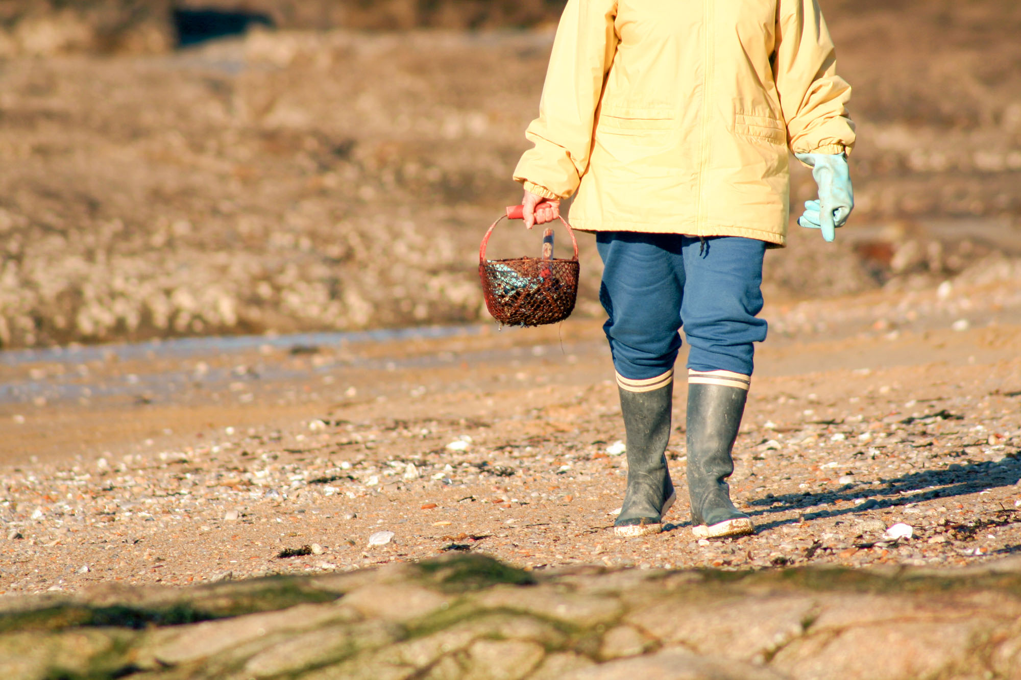 pêche bottes plage bretagne