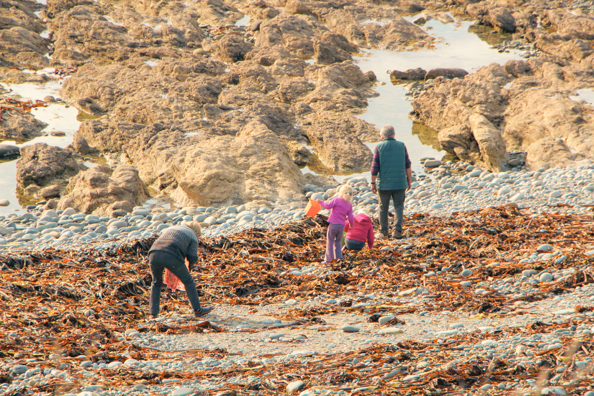 pêche pied bretagne famille